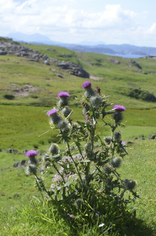 Highland Holiday House Villa Durness Kültér fotó